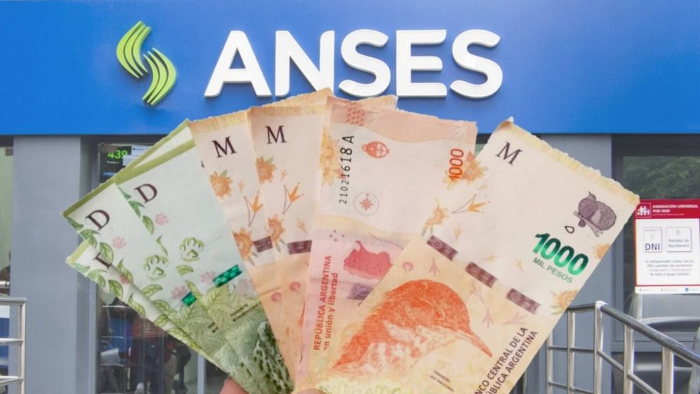 Calendario de pagos Anses noviembre 2021